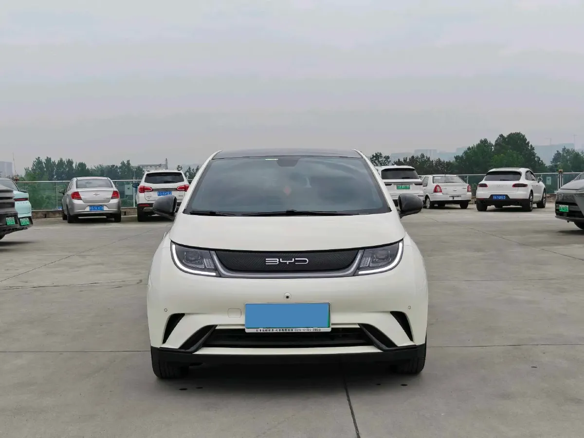 2023 BYD Dolphin BEV 44.928KWH,autocango,china used car exporter,china ev exporter,chinese used car exporter,chinese used ev exporter