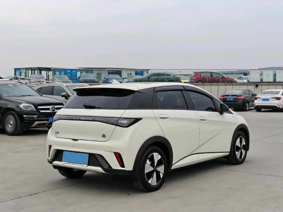 2023 BYD Dolphin BEV 44.928KWH,autocango,china used car exporter,china ev exporter,chinese used car exporter,chinese used ev exporter