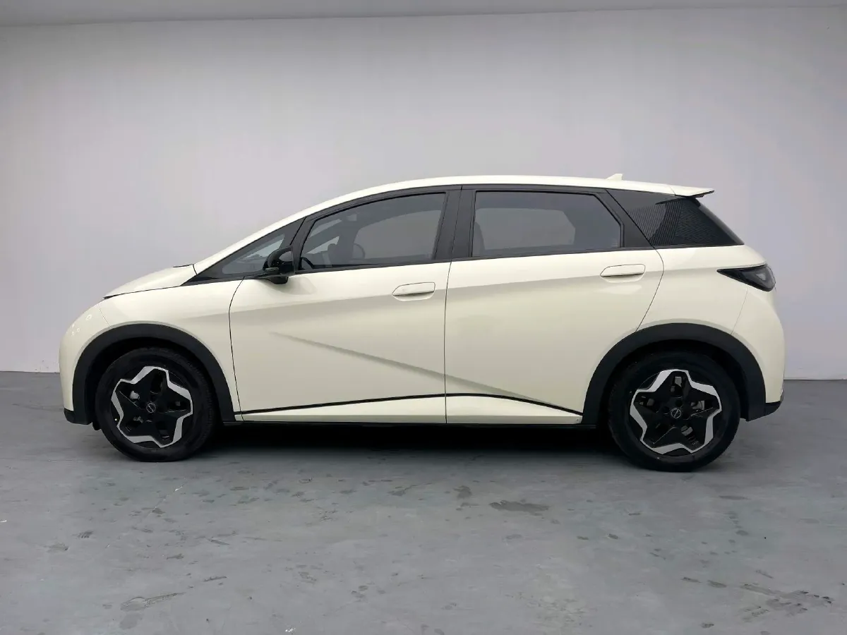 2023 BYD Dolphin BEV 44.928KWH,autocango,china used car exporter,china ev exporter,chinese used car exporter,chinese used ev exporter