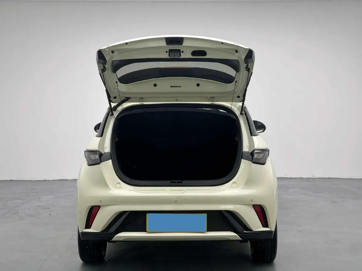 2023 BYD Dolphin BEV 44.928KWH,autocango,china used car exporter,china ev exporter,chinese used car exporter,chinese used ev exporter