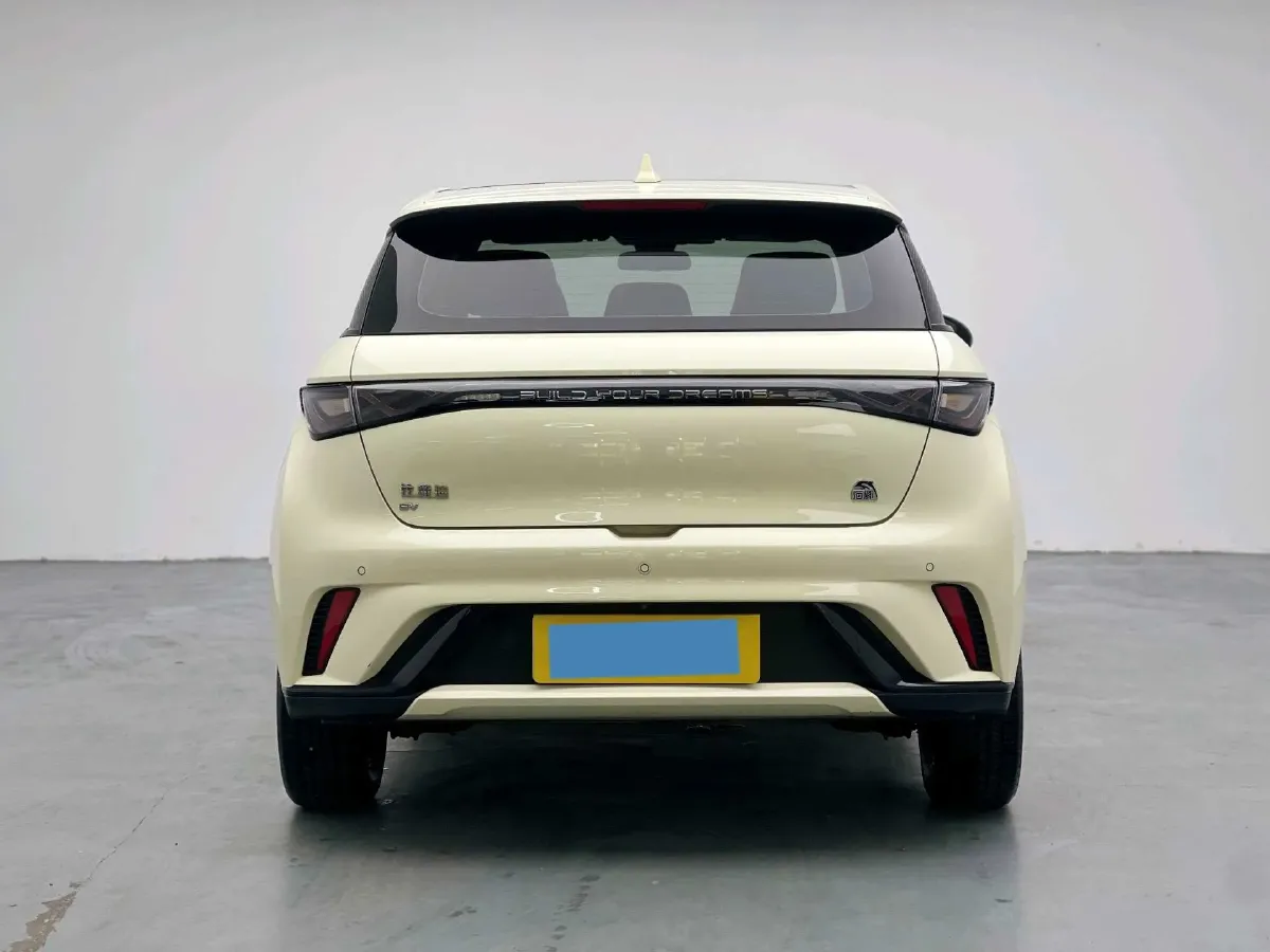 2023 BYD Dolphin BEV 44.928KWH,autocango,china used car exporter,china ev exporter,chinese used car exporter,chinese used ev exporter