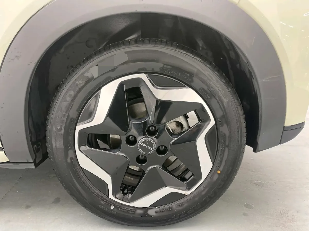 2023 BYD Dolphin BEV 44.928KWH,autocango,china used car exporter,china ev exporter,chinese used car exporter,chinese used ev exporter