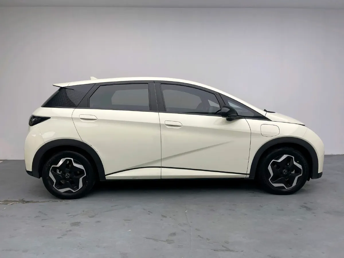 2023 BYD Dolphin BEV 44.928KWH,autocango,china used car exporter,china ev exporter,chinese used car exporter,chinese used ev exporter
