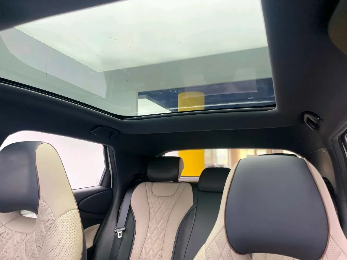 2023 BYD Dolphin BEV 44.928KWH,autocango,china used car exporter,china ev exporter,chinese used car exporter,chinese used ev exporter