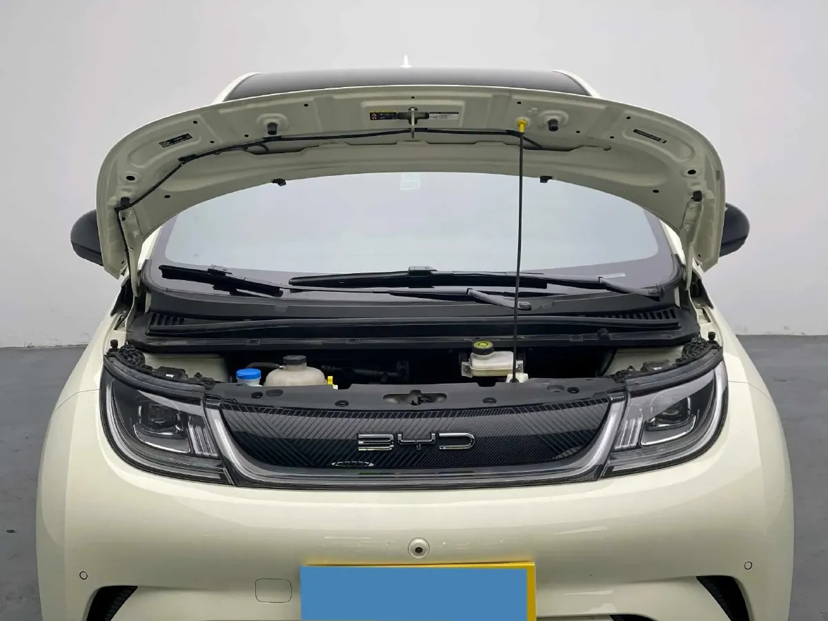 2023 BYD Dolphin BEV 44.928KWH,autocango,china used car exporter,china ev exporter,chinese used car exporter,chinese used ev exporter