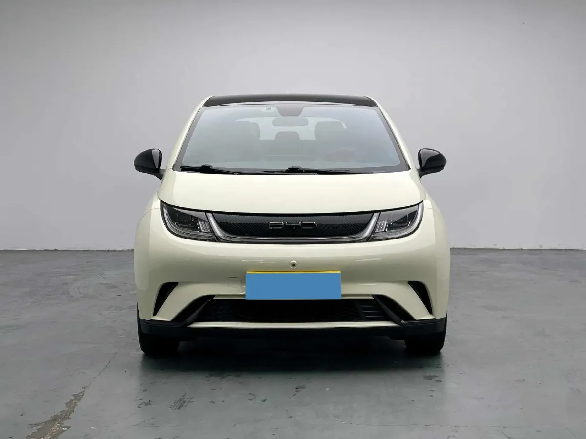 2023 BYD Dolphin BEV 44.928KWH,autocango,china used car exporter,china ev exporter,chinese used car exporter,chinese used ev exporter