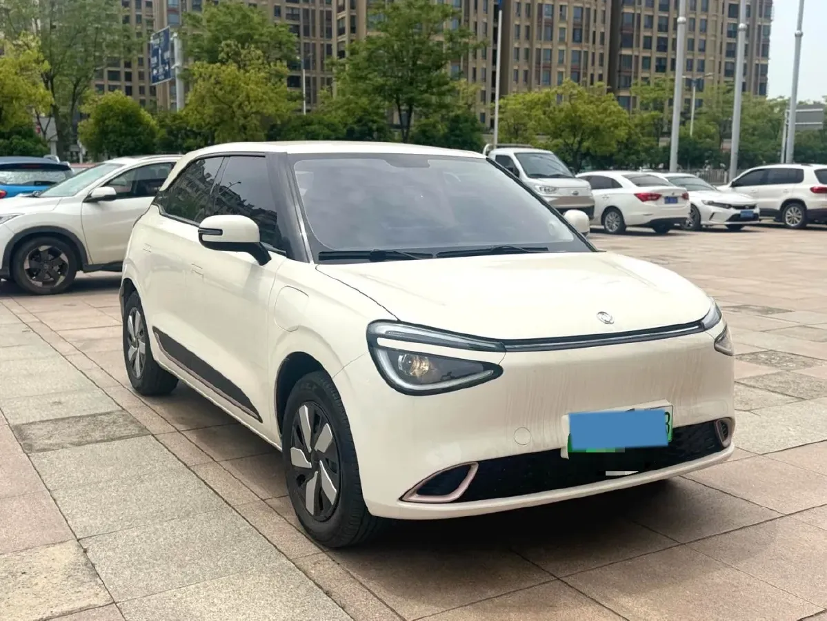 2024 DongFeng eπ 01 BEV 31.45KWH,autocango,china used car exporter,china ev exporter,chinese used car exporter,chinese used ev exporter