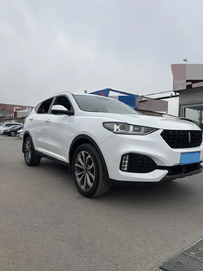 2018 WEY VV6 2.0T 197HP L4 7DCT,autocango,china used car exporter,china ev exporter,chinese used car exporter,chinese used ev exporter