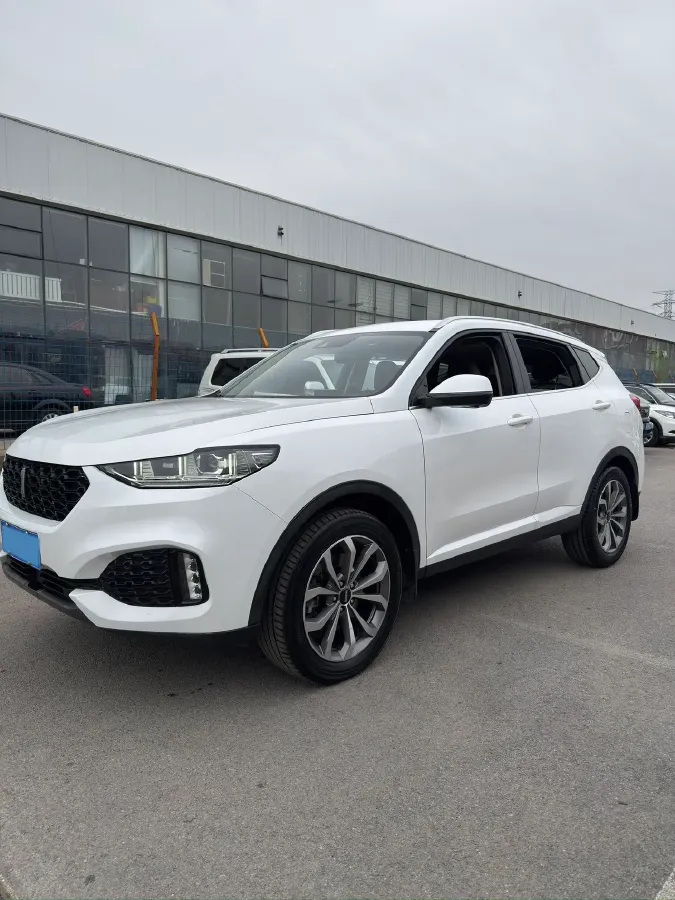 2018 WEY VV6 2.0T 197HP L4 7DCT,autocango,china used car exporter,china ev exporter,chinese used car exporter,chinese used ev exporter