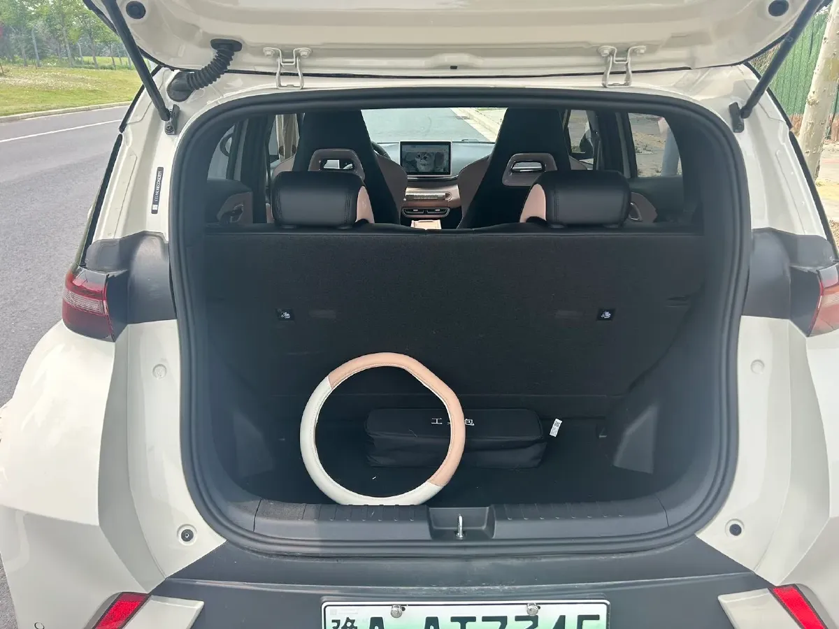 2024 BYD Seagull BEV 30.08KWH,autocango,china used car exporter,china ev exporter,chinese used car exporter,chinese used ev exporter