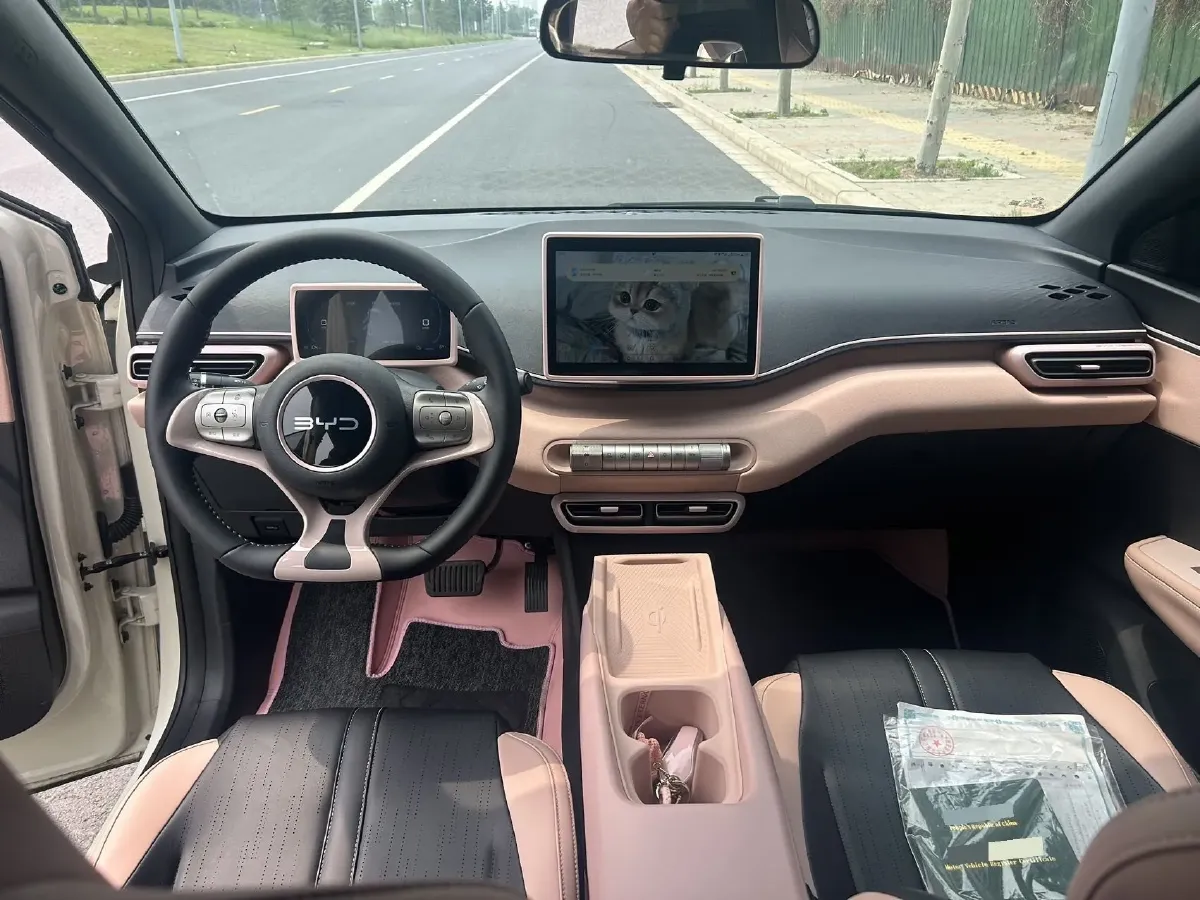 2024 BYD Seagull BEV 30.08KWH,autocango,china used car exporter,china ev exporter,chinese used car exporter,chinese used ev exporter