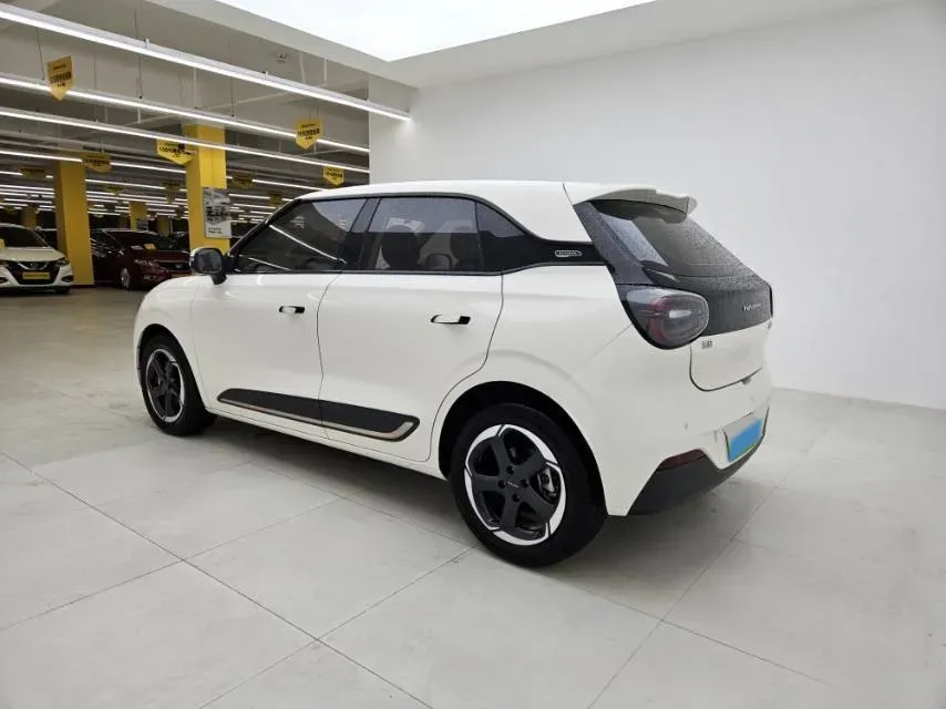 2024 DongFeng eπ 01 BEV 42.3KWH,autocango,china used car exporter,china ev exporter,chinese used car exporter,chinese used ev exporter