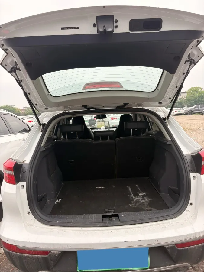 2019 Weltmeister EX5 BEV 52.56KWH,autocango,china used car exporter,china ev exporter,chinese used car exporter,chinese used ev exporter