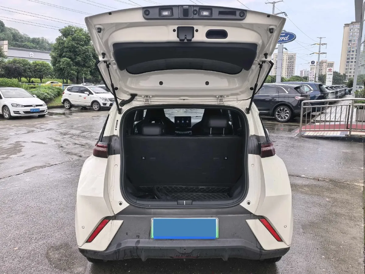 2025 BYD Seagull BEV 30.08KWH,autocango,china used car exporter,china ev exporter,chinese used car exporter,chinese used ev exporter