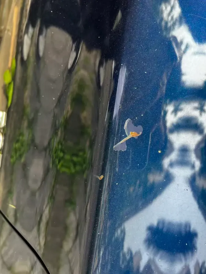 2018 Jeep Grand Commander 2.0T 265HP L4 9AT,autocango,china used car exporter,china ev exporter,chinese used car exporter,chinese used ev exporter