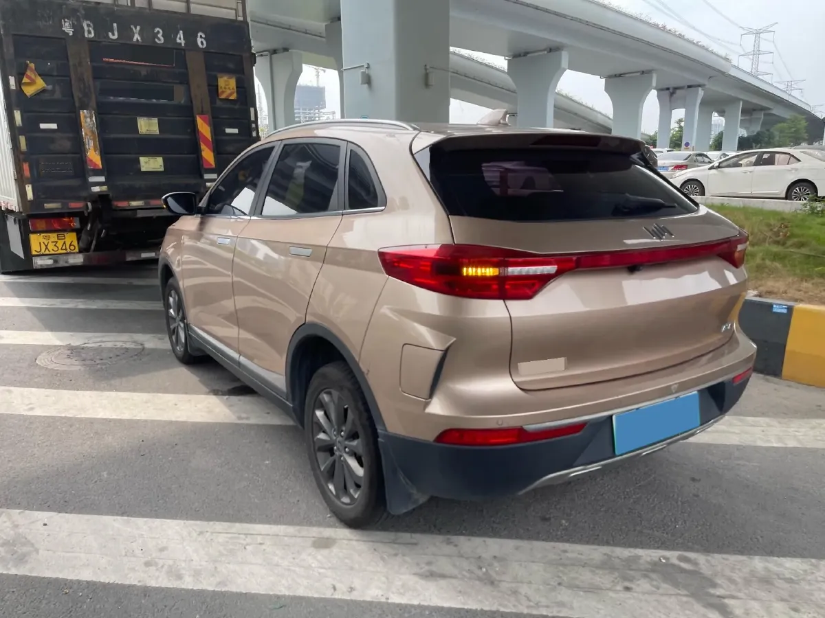 2019 Weltmeister EX5 BEV 69KWH,autocango,china used car exporter,china ev exporter,chinese used car exporter,chinese used ev exporter