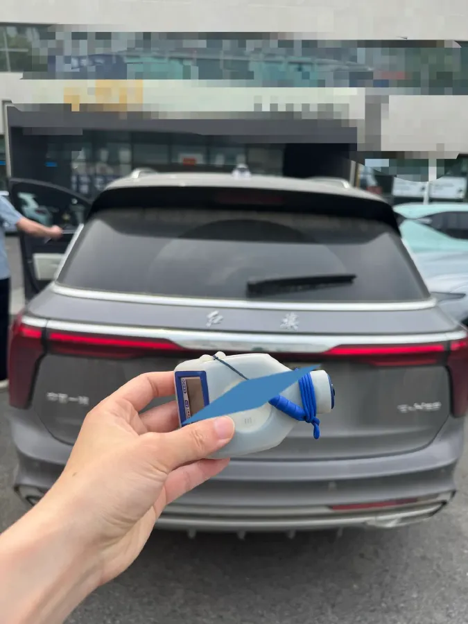 2021 HongQi E-HS9 BEV 84KWH,autocango,china used car exporter,china ev exporter,chinese used car exporter,chinese used ev exporter