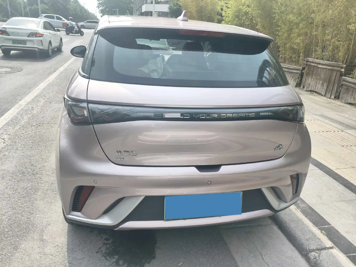 2021 BYD Yuan Pro BEV 50.1KWH,autocango,china used car exporter,china ev exporter,chinese used car exporter,chinese used ev exporter