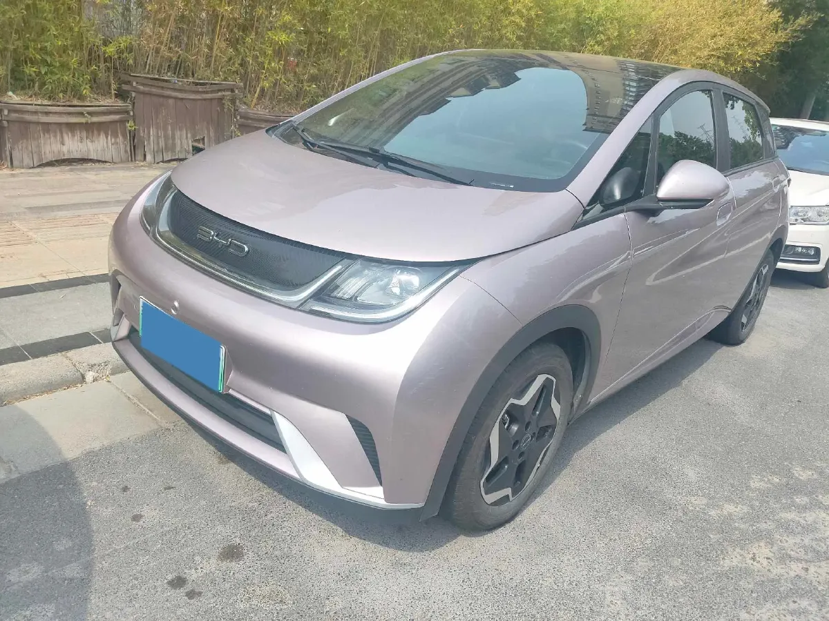 2021 BYD Yuan Pro BEV 50.1KWH,autocango,china used car exporter,china ev exporter,chinese used car exporter,chinese used ev exporter