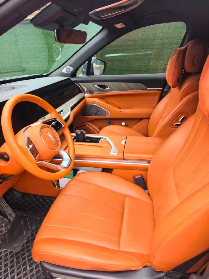 2023 WEY BlueMountain 1.5T 154HP L4 2DHT PHEV 44.5KWH,autocango,china used car exporter,china ev exporter,chinese used car exporter,chinese used ev exporter