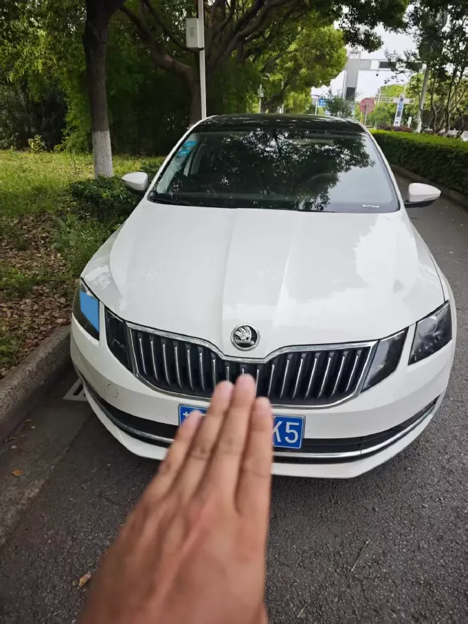2019 Skoda Octavia 1.2T 116HP L4 7DCT,autocango,china used car exporter,china ev exporter,chinese used car exporter,chinese used ev exporter