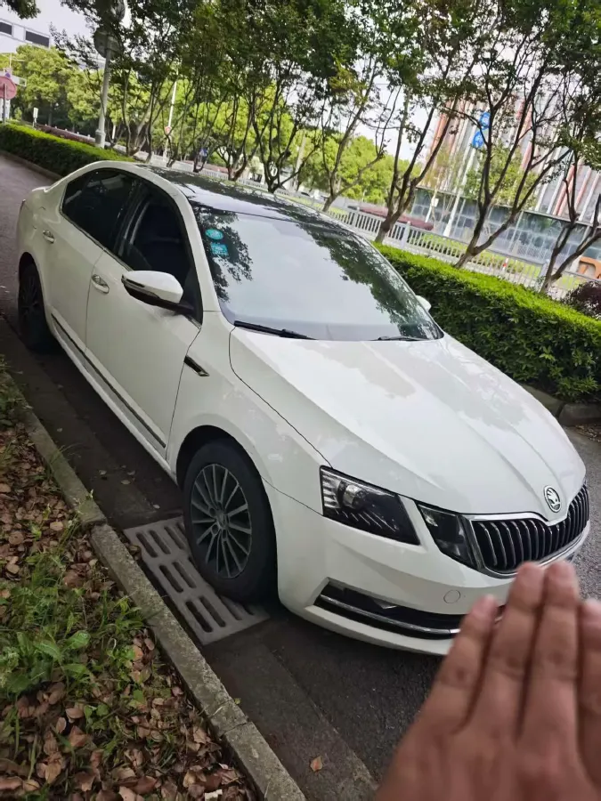 2019 Skoda Octavia 1.2T 116HP L4 7DCT,autocango,china used car exporter,china ev exporter,chinese used car exporter,chinese used ev exporter