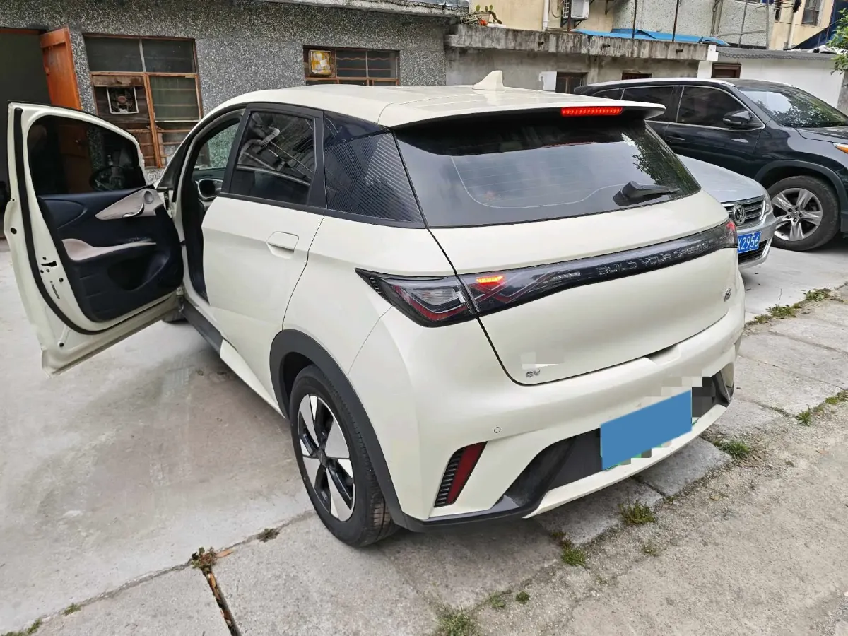 2023 BYD Dolphin BEV 44.928KWH,autocango,china used car exporter,china ev exporter,chinese used car exporter,chinese used ev exporter