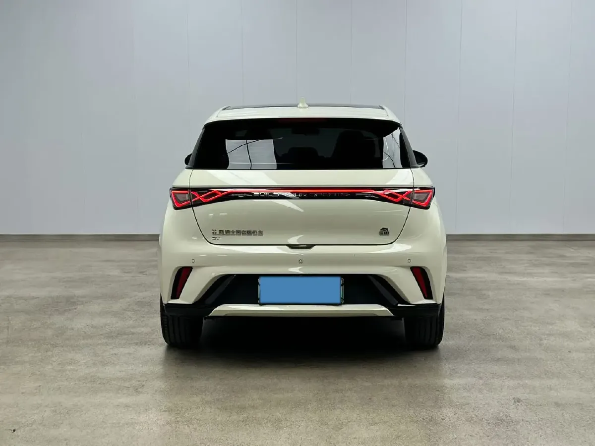 2021 BYD Yuan Pro BEV 50.1KWH,autocango,china used car exporter,china ev exporter,chinese used car exporter,chinese used ev exporter