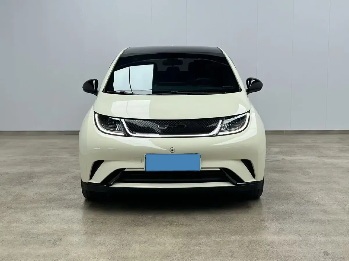 2021 BYD Yuan Pro BEV 50.1KWH,autocango,china used car exporter,china ev exporter,chinese used car exporter,chinese used ev exporter