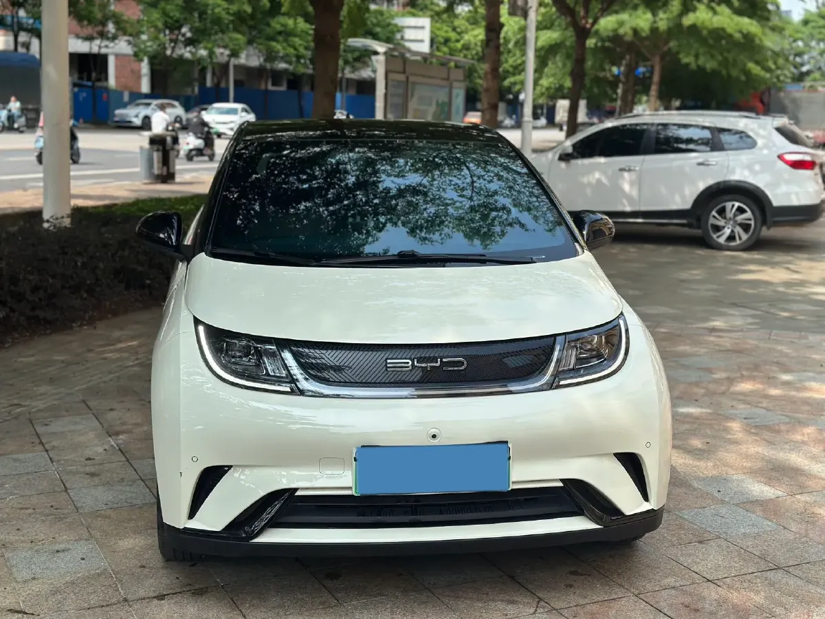 2023 BYD Dolphin BEV 44.928KWH,autocango,china used car exporter,china ev exporter,chinese used car exporter,chinese used ev exporter