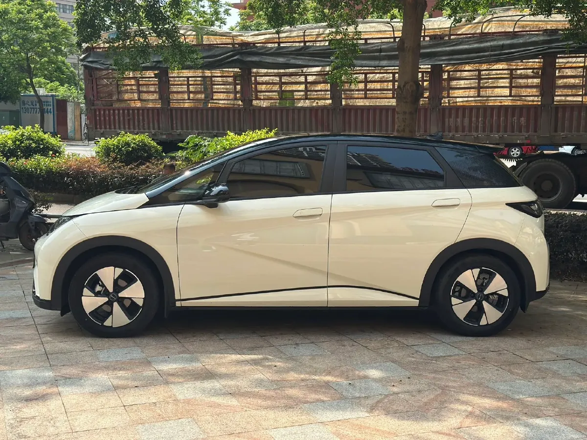 2023 BYD Dolphin BEV 44.928KWH,autocango,china used car exporter,china ev exporter,chinese used car exporter,chinese used ev exporter