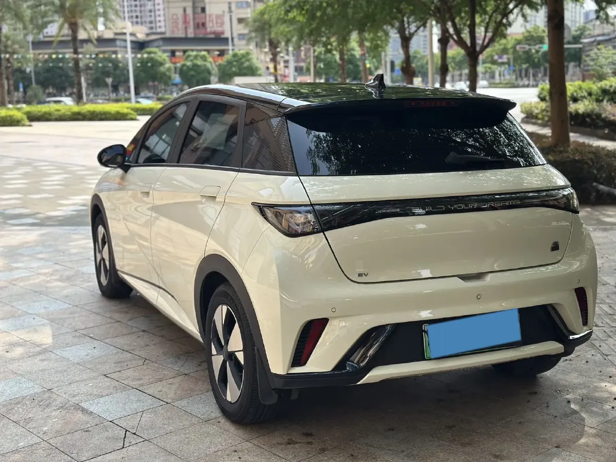 2023 BYD Dolphin BEV 44.928KWH,autocango,china used car exporter,china ev exporter,chinese used car exporter,chinese used ev exporter