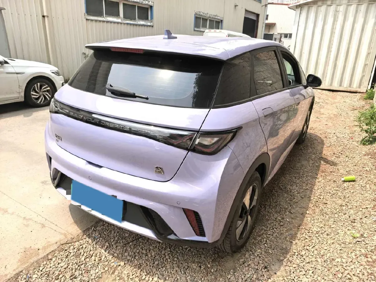 2023 BYD Dolphin BEV 44.928KWH,autocango,china used car exporter,china ev exporter,chinese used car exporter,chinese used ev exporter