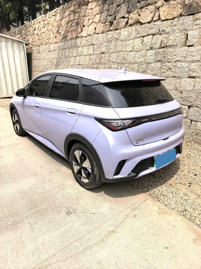 2023 BYD Dolphin BEV 44.928KWH,autocango,china used car exporter,china ev exporter,chinese used car exporter,chinese used ev exporter
