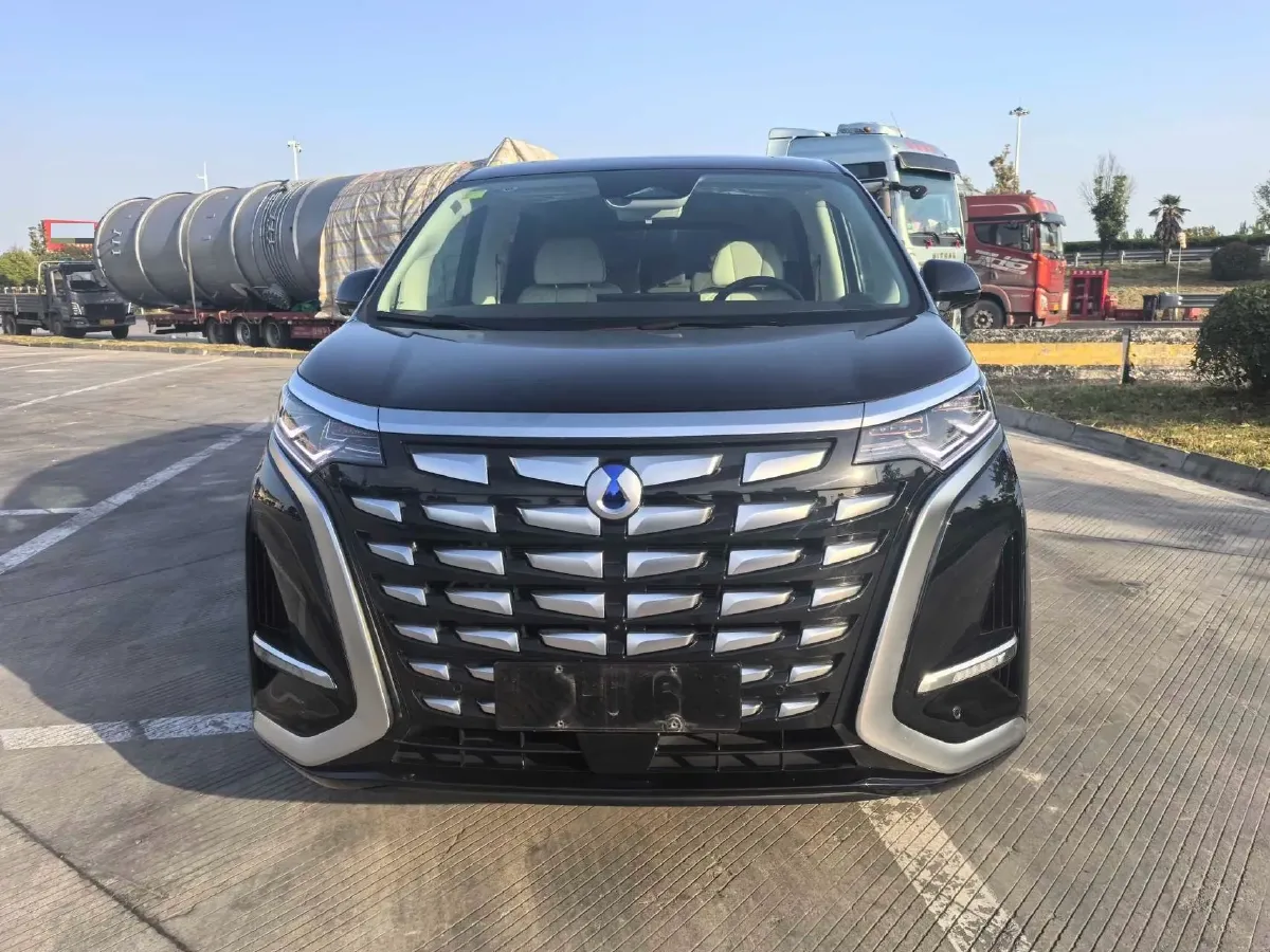 2024 Denza D9 1.5T 139HP L4 E-CVT PHEV 20.39KWH,autocango,china used car exporter,china ev exporter,chinese used car exporter,chinese used ev exporter