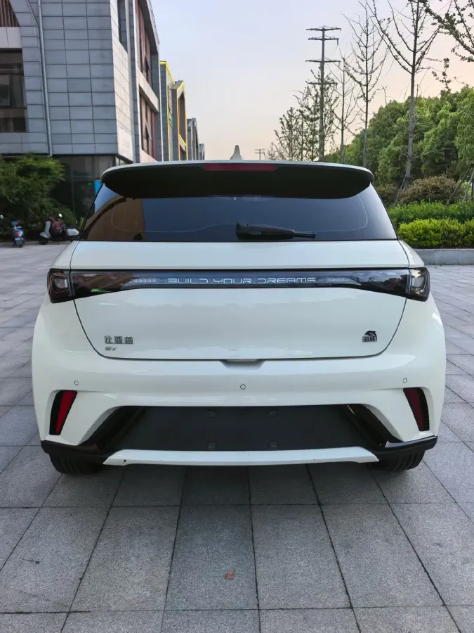 2023 BYD Dolphin BEV 44.928KWH,autocango,china used car exporter,china ev exporter,chinese used car exporter,chinese used ev exporter