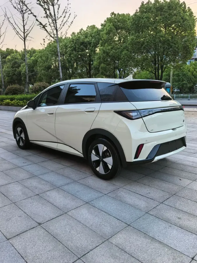 2023 BYD Dolphin BEV 44.928KWH,autocango,china used car exporter,china ev exporter,chinese used car exporter,chinese used ev exporter