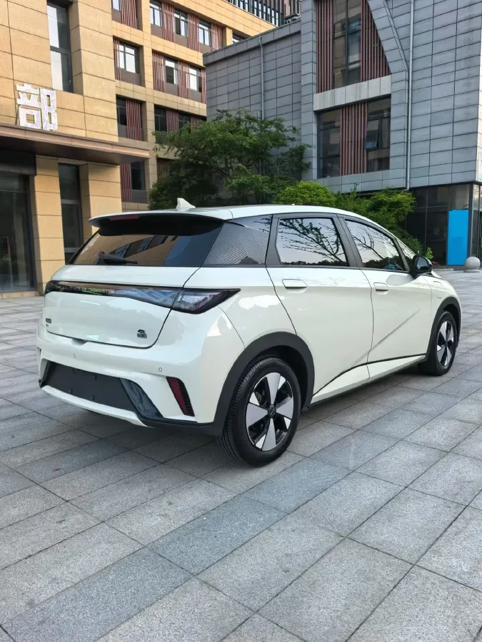 2023 BYD Dolphin BEV 44.928KWH,autocango,china used car exporter,china ev exporter,chinese used car exporter,chinese used ev exporter