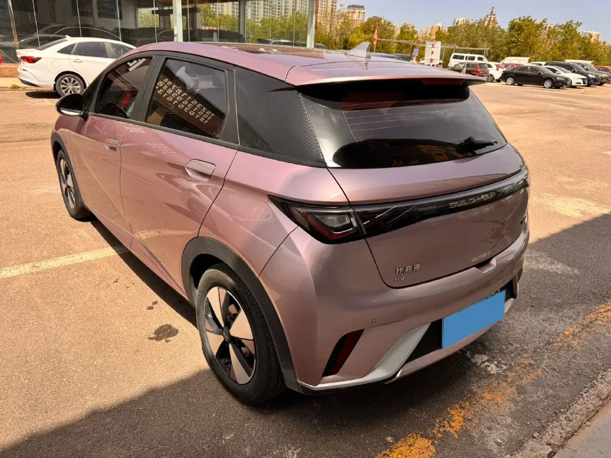 2023 BYD Dolphin BEV 44.928KWH,autocango,china used car exporter,china ev exporter,chinese used car exporter,chinese used ev exporter