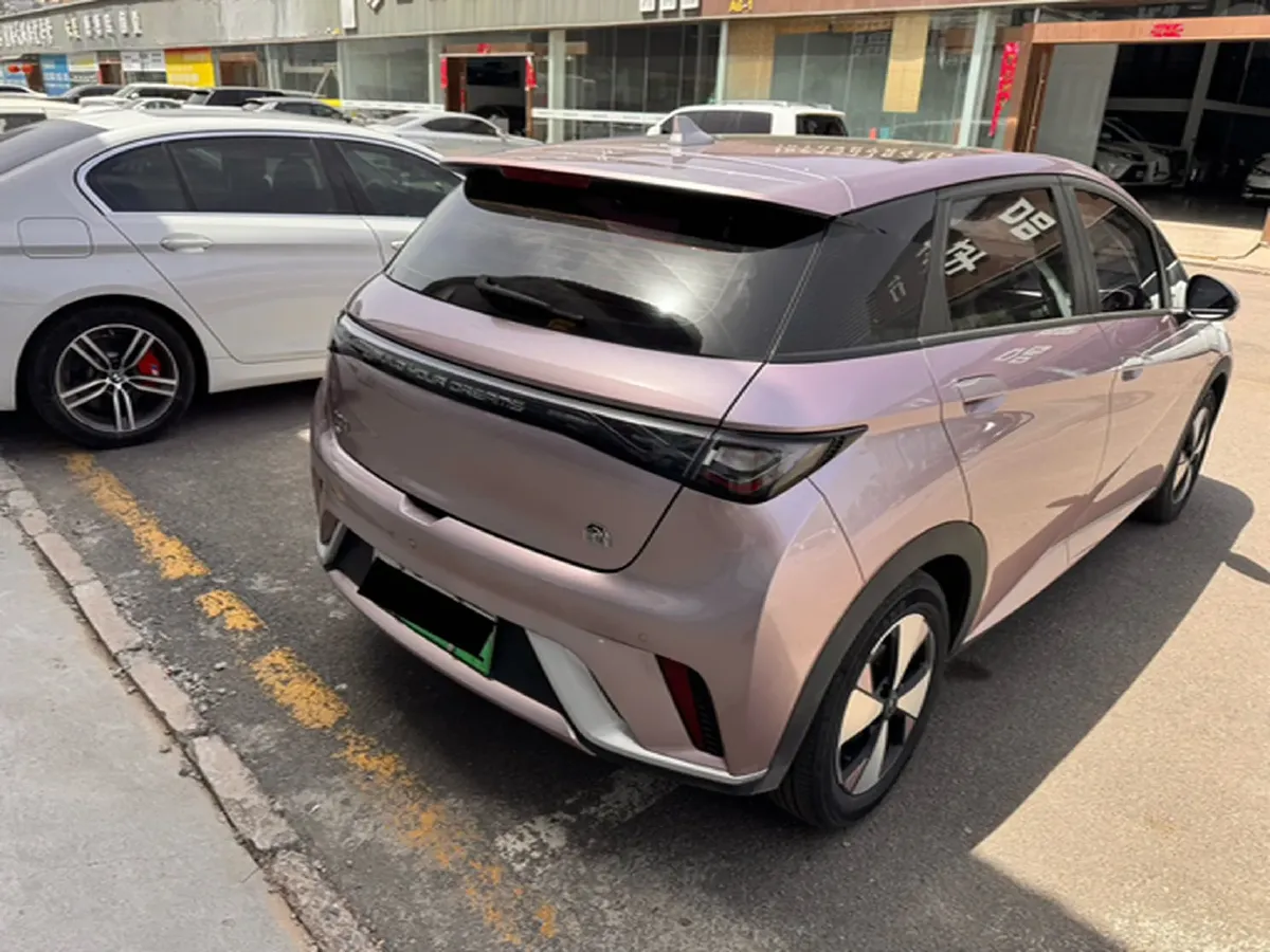 2023 BYD Dolphin BEV 44.928KWH,autocango,china used car exporter,china ev exporter,chinese used car exporter,chinese used ev exporter