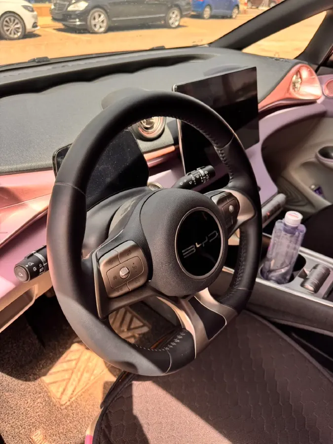 2023 BYD Dolphin BEV 44.928KWH,autocango,china used car exporter,china ev exporter,chinese used car exporter,chinese used ev exporter