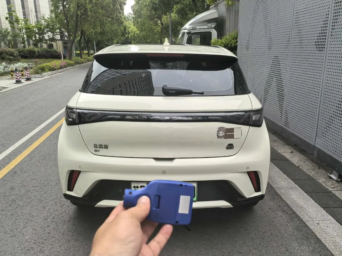 2023 BYD Dolphin BEV 44.928KWH,autocango,china used car exporter,china ev exporter,chinese used car exporter,chinese used ev exporter