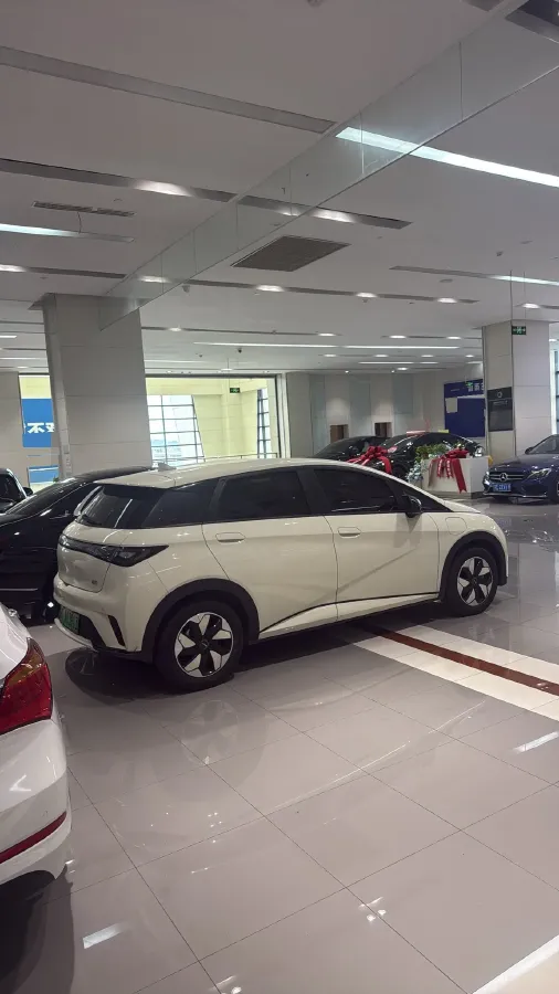 2024 BYD Dolphin BEV 44.928KWH,autocango,china used car exporter,china ev exporter,chinese used car exporter,chinese used ev exporter