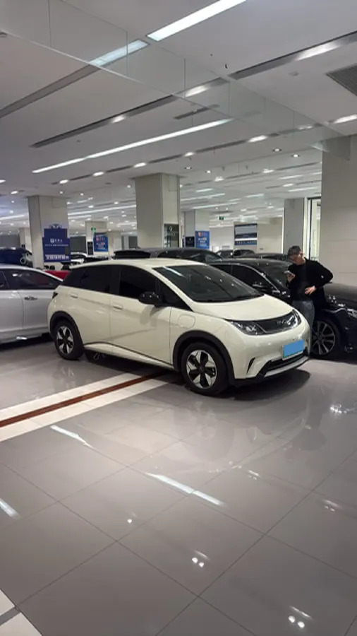 2024 BYD Dolphin BEV 44.928KWH,autocango,china used car exporter,china ev exporter,chinese used car exporter,chinese used ev exporter