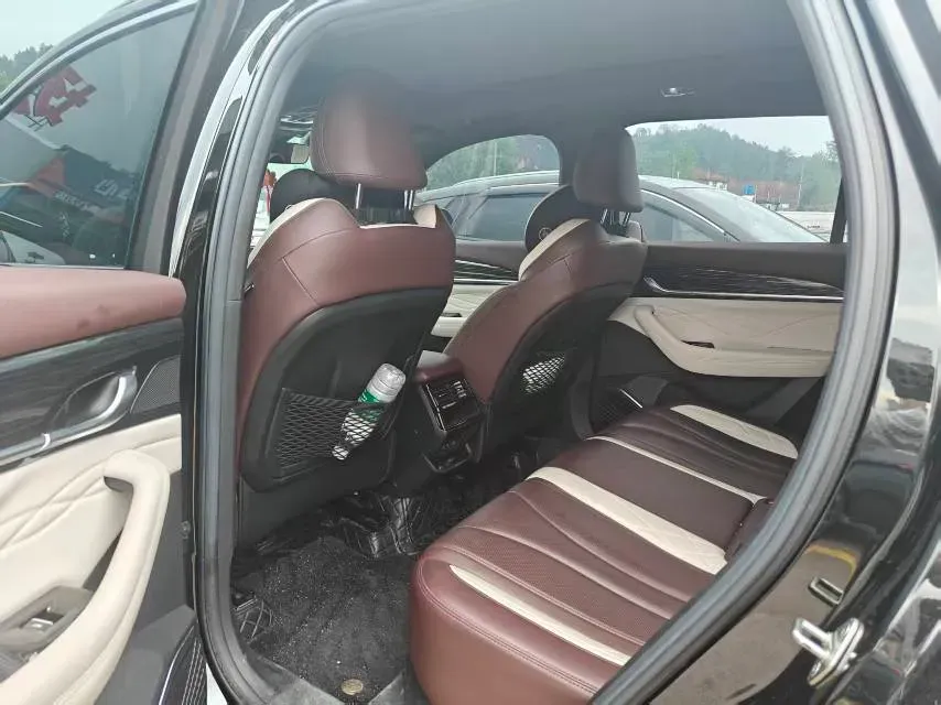 2024 Geely Monjaro 2.0T 238HP L4 8AT,autocango,china used car exporter,china ev exporter,chinese used car exporter,chinese used ev exporter