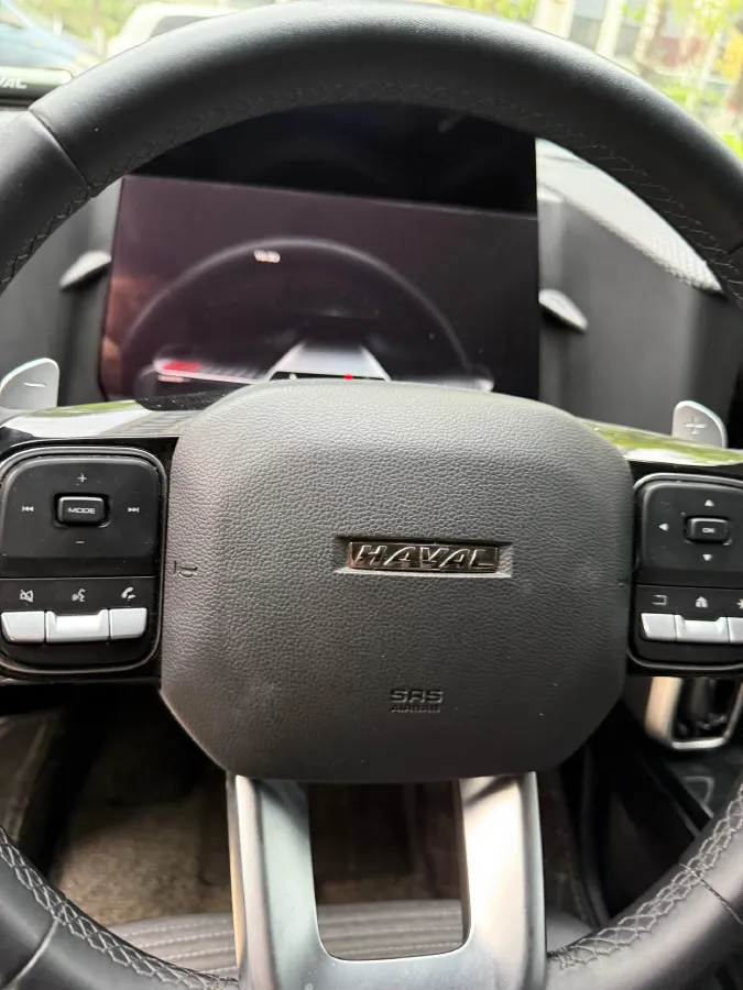 2021 Haval Dargo 2.0T 211HP L4 7DCT,autocango,china used car exporter,china ev exporter,chinese used car exporter,chinese used ev exporter