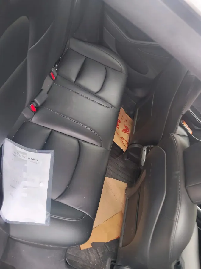 2020 Tesla Model 3 BEV 52KWH,autocango,china used car exporter,china ev exporter,chinese used car exporter,chinese used ev exporter