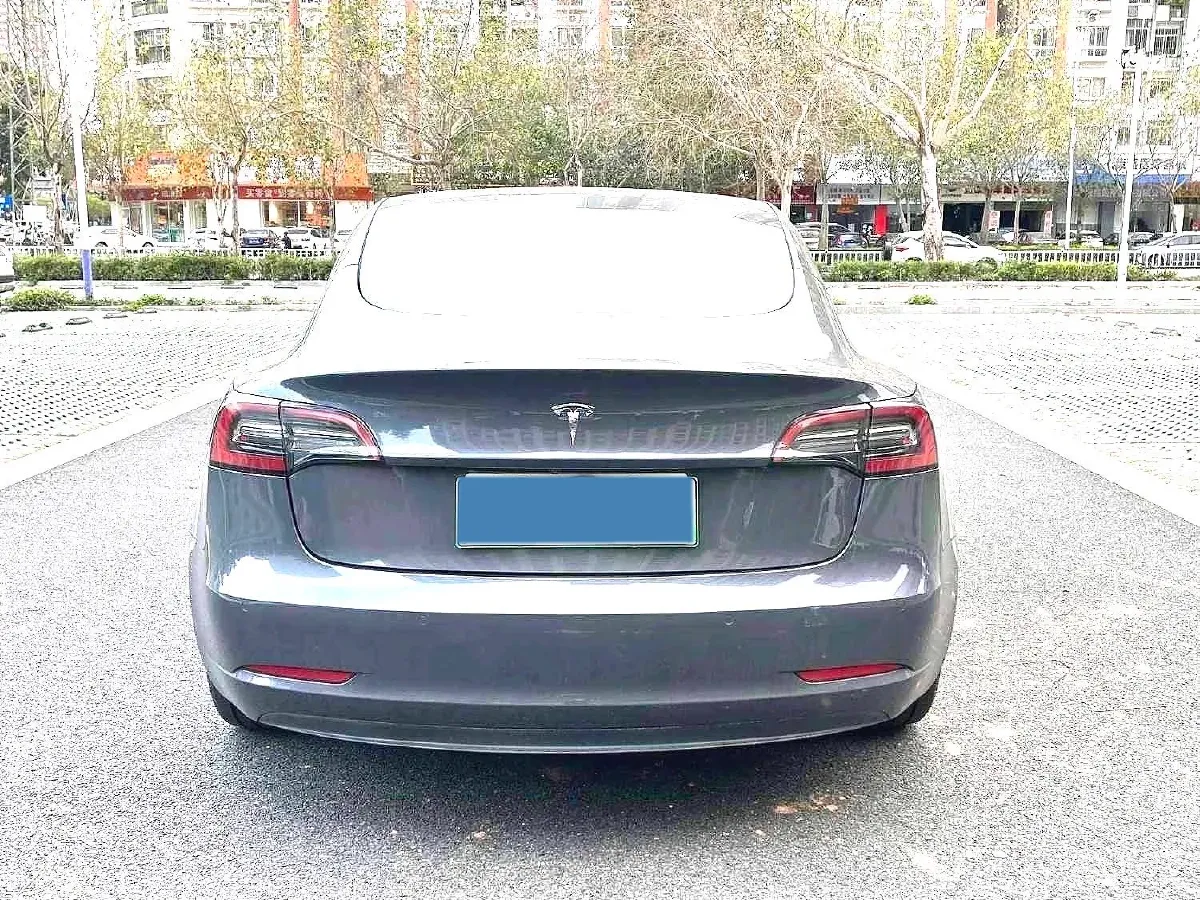 2021 Tesla Model 3 BEV 55KWH,autocango,china used car exporter,china ev exporter,chinese used car exporter,chinese used ev exporter