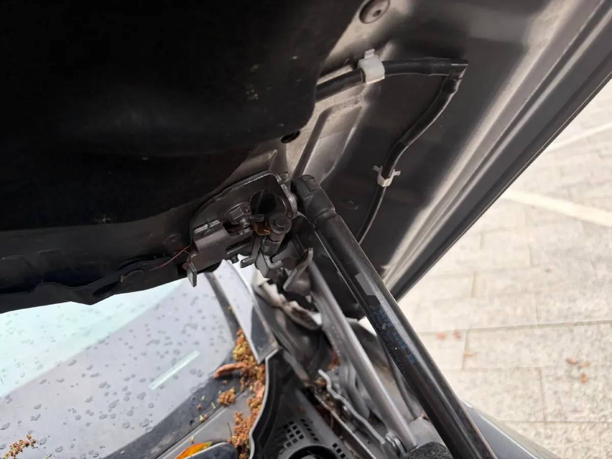 2020 Infiniti QX50 2.0T 272HP L4 CVT,autocango,china used car exporter,china ev exporter,chinese used car exporter,chinese used ev exporter