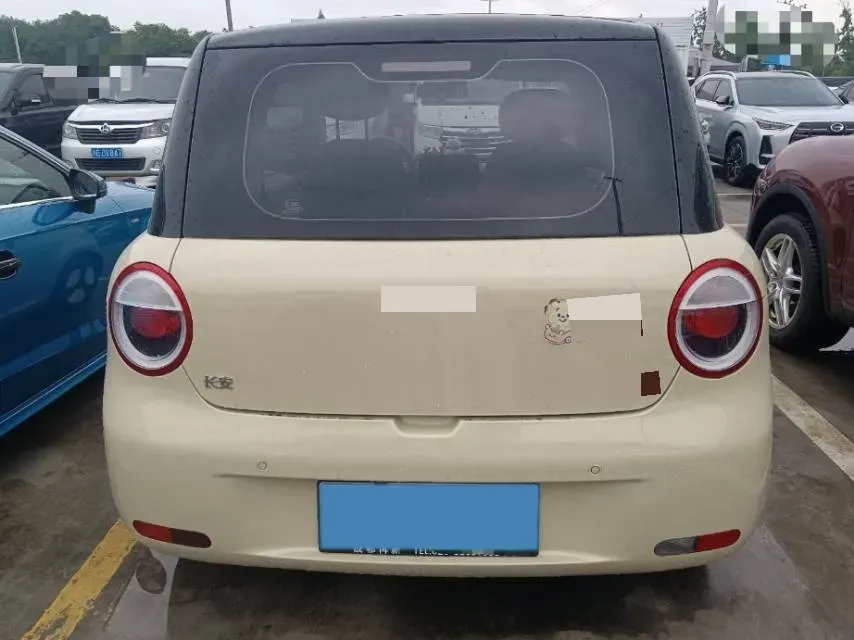 2024 ChangAn QiYuan Lumin BEV 17.65KWH,autocango,china used car exporter,china ev exporter,chinese used car exporter,chinese used ev exporter